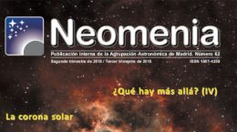 Neomenia 062