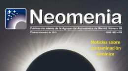 Neomenia 066
