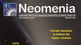 Neomenia 069