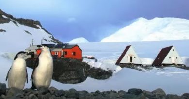 Antártida: una ventana a la esperanza