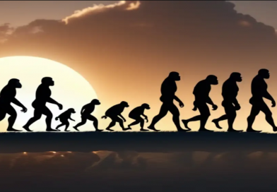 Un recorrido por la evolución humana