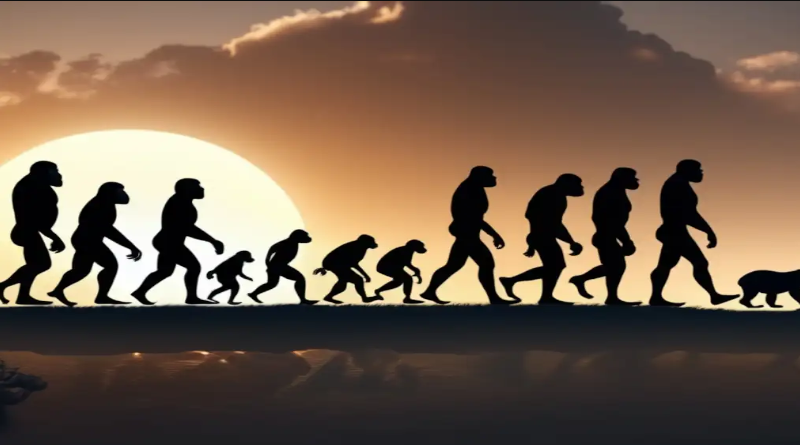 Un recorrido por la evolución humana
